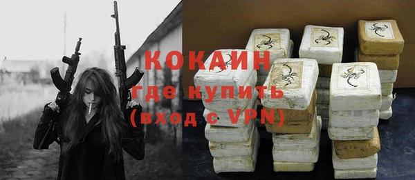 хмурый Белокуриха