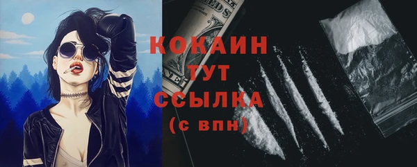 шишки Белоозёрский