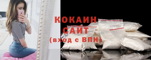 хмурый Белокуриха