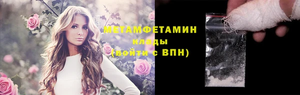 хмурый Белокуриха
