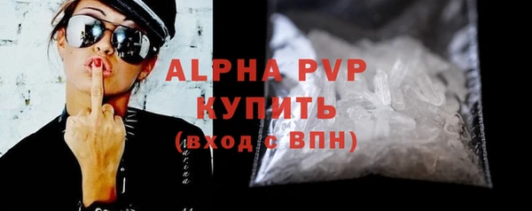 шишки Белоозёрский