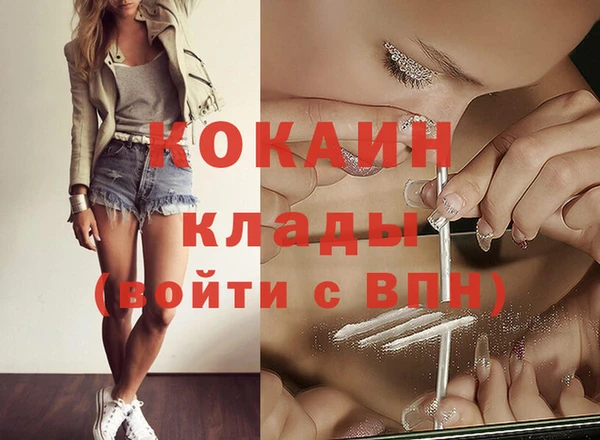 шишки Белоозёрский