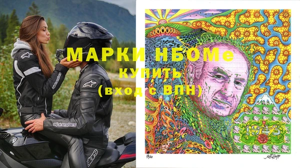 шишки Белоозёрский