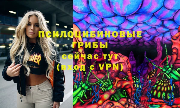 хмурый Белокуриха