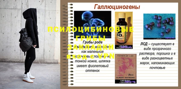 хмурый Белокуриха