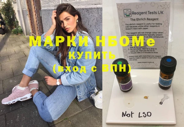 шишки Белоозёрский