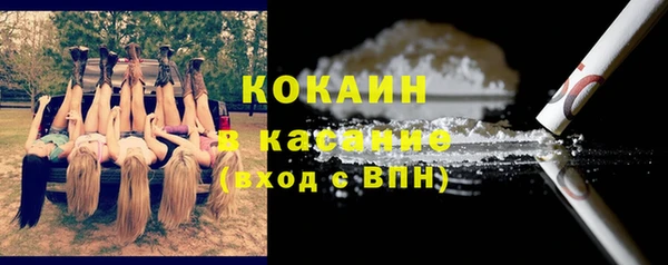 шишки Белоозёрский