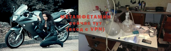 шишки Белоозёрский