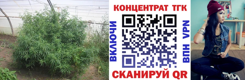 Дистиллят ТГК гашишное масло  купить наркоту  Волгореченск 
