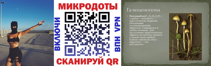 Галлюциногенные грибы GOLDEN TEACHER магазин наркотиков Волгореченск